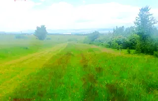 Парцел в София, Горна баня
