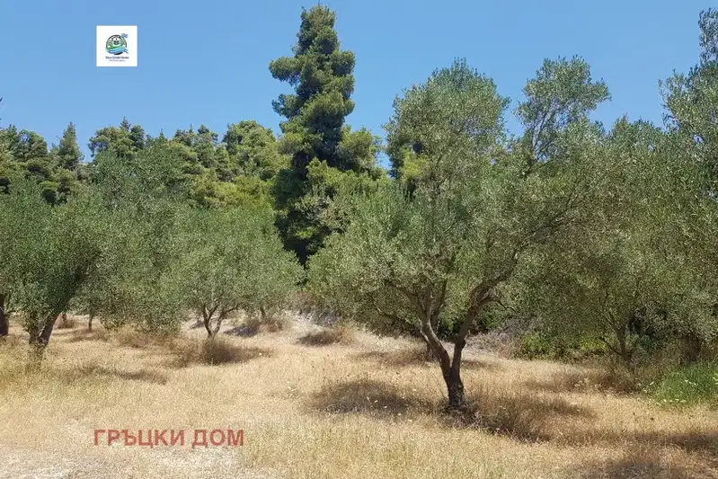 Plot in Halkidiki