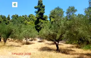 Парцел в Халкидики