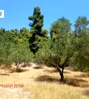 Парцел в Халкидики