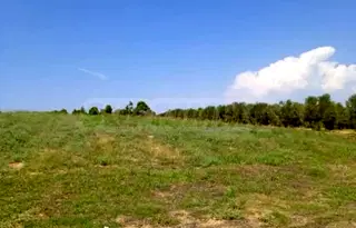 Парцел в Халкидики