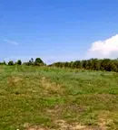 Парцел в Халкидики