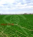 Парцел в Пловдив, Коматево