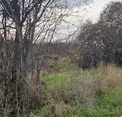 Photo 2 — Plot in Sofiya, Kremikovci
