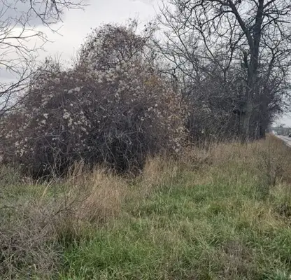 Photo 3 — Plot in Sofiya, Kremikovci