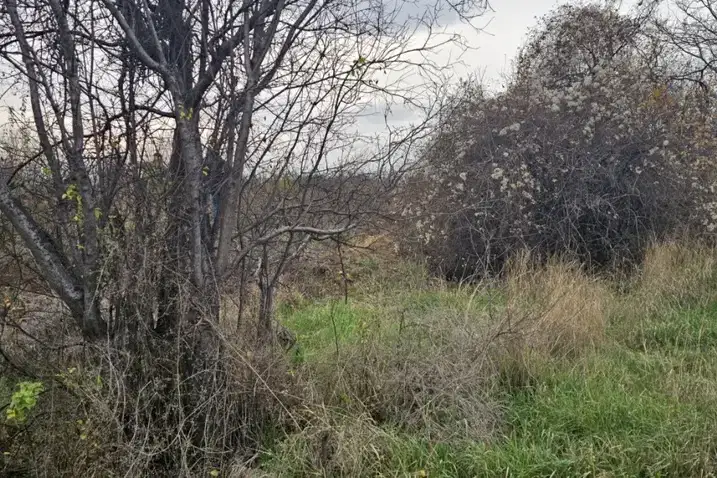 Plot in Sofiya, Kremikovci