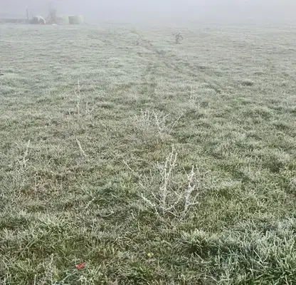 Photo 3 — Plot in Sofiya, Kremikovci