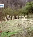 Парцел във Варна, м-т Боровец - юг