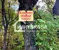 Снимка 2 — Парцел във Варна, м-т Манастирски рид