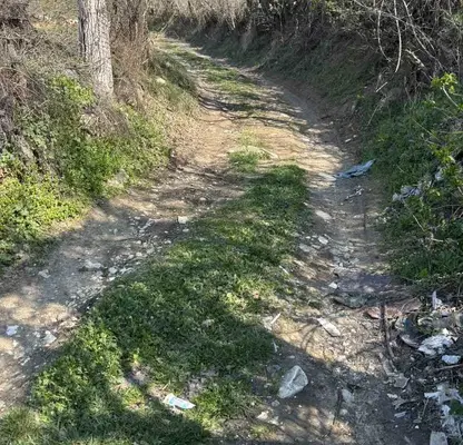 Photo 2 — Plot in Varna, Planova