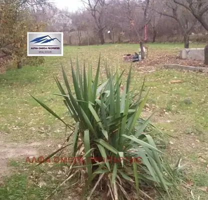 Photo 3 — Plot in Varna, Rakitnika