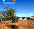 Снимка 4 — Парцел във Варна, м-т Зеленика