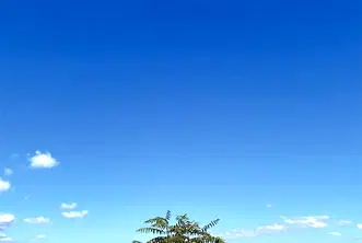 Парцел във Варна, м-т Зеленика