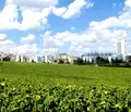 Снимка 2 — Парцел в Бургас, Меден рудник - зона В