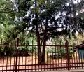 Снимка 4 — Парцел в София, Павлово