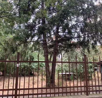 Photo 4 — Plot in Sofiya, Pavlovo