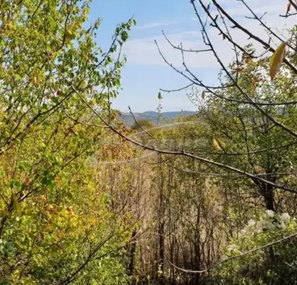 Photo 2 — Plot in Lovech, Prodimchec