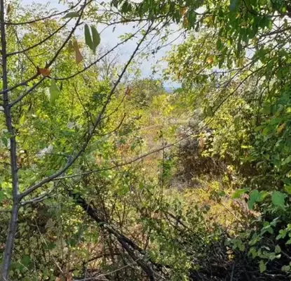 Photo 3 — Plot in Lovech, Prodimchec