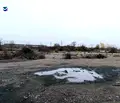 Снимка 4 — Парцел във Враца, Промишлена зона