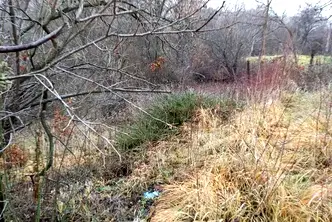 Парцел в София, Република