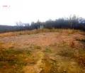 Снимка 3 — Парцел в Ловеч, Широк център