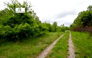 Парцел в Габрово, Сирмани
