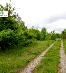 Парцел в Габрово, Сирмани