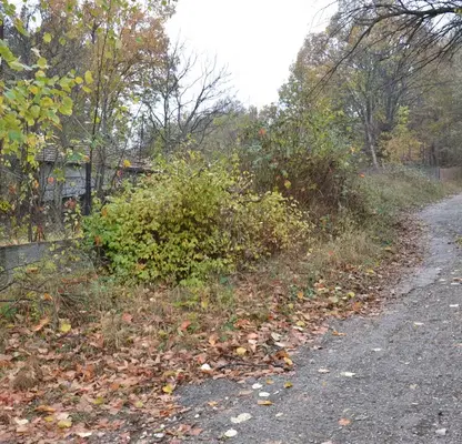 Photo 5 — Plot in Gabrovo, Slavovtsi