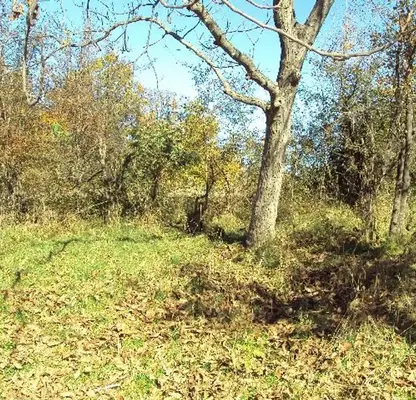 Photo 3 — Plot in Gabrovo, Tlychnici