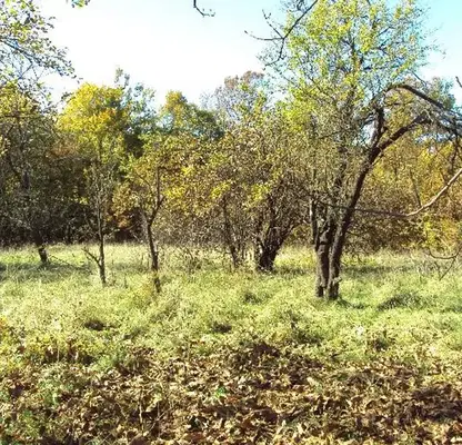 Photo 4 — Plot in Gabrovo, Tlychnici