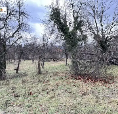 Photo 2 — Plot in Gabrovo, Tlychnici