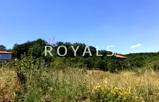Парцел във Варна, Виница