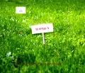Снимка 2 — Парцел във Варна, Владислав Варненчик 2