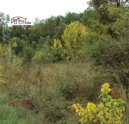 Снимка 3 — Парцел в Габрово, Войново
