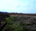 Снимка 3 — Парцел в Русе, в.з. Касева Чешма