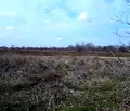 Снимка 4 — Парцел в Русе, в.з. Касева Чешма