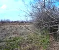Снимка 5 — Парцел в Русе, в.з. Касева Чешма