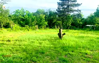 Парцел в Русе, в.з. Левента