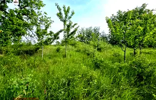 Парцел в Русе, в.з. Образцов Чифлик