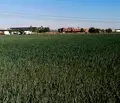 Снимка 3 — Парцел в Пловдив, Южен