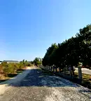Парцел във Варна, Западна промишлена зона