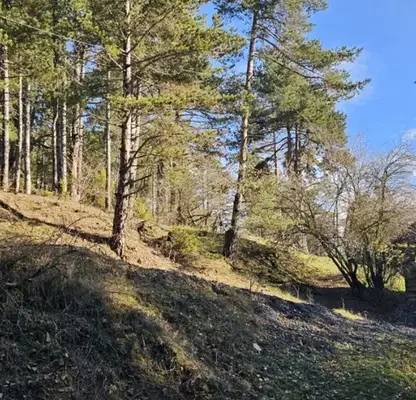 Photo 3 — Plot in Oblast Blagoevgrad, Razlog