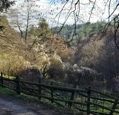 Photo 4 — Plot in Oblast Blagoevgrad, Razlog