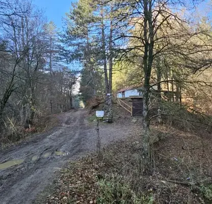 Photo 4 — Plot in Oblast Blagoevgrad, Razlog