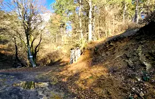 Парцел в Благоевград, Разлог