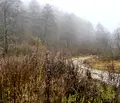 Снимка 2 — Парцел в Благоевград, Разлог