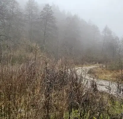 Photo 2 — Plot in Oblast Blagoevgrad, Razlog