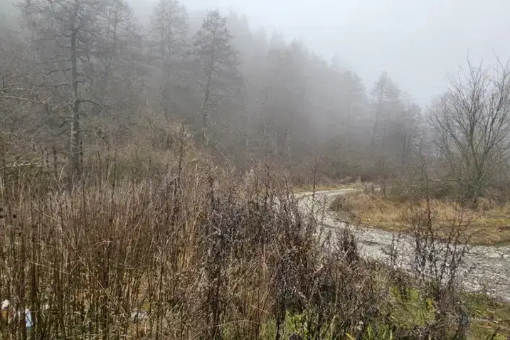 Парцел в Благоевград, Разлог