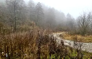 Парцел в Благоевград, Разлог