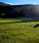 Парцел в Благоевград, с. Бачево